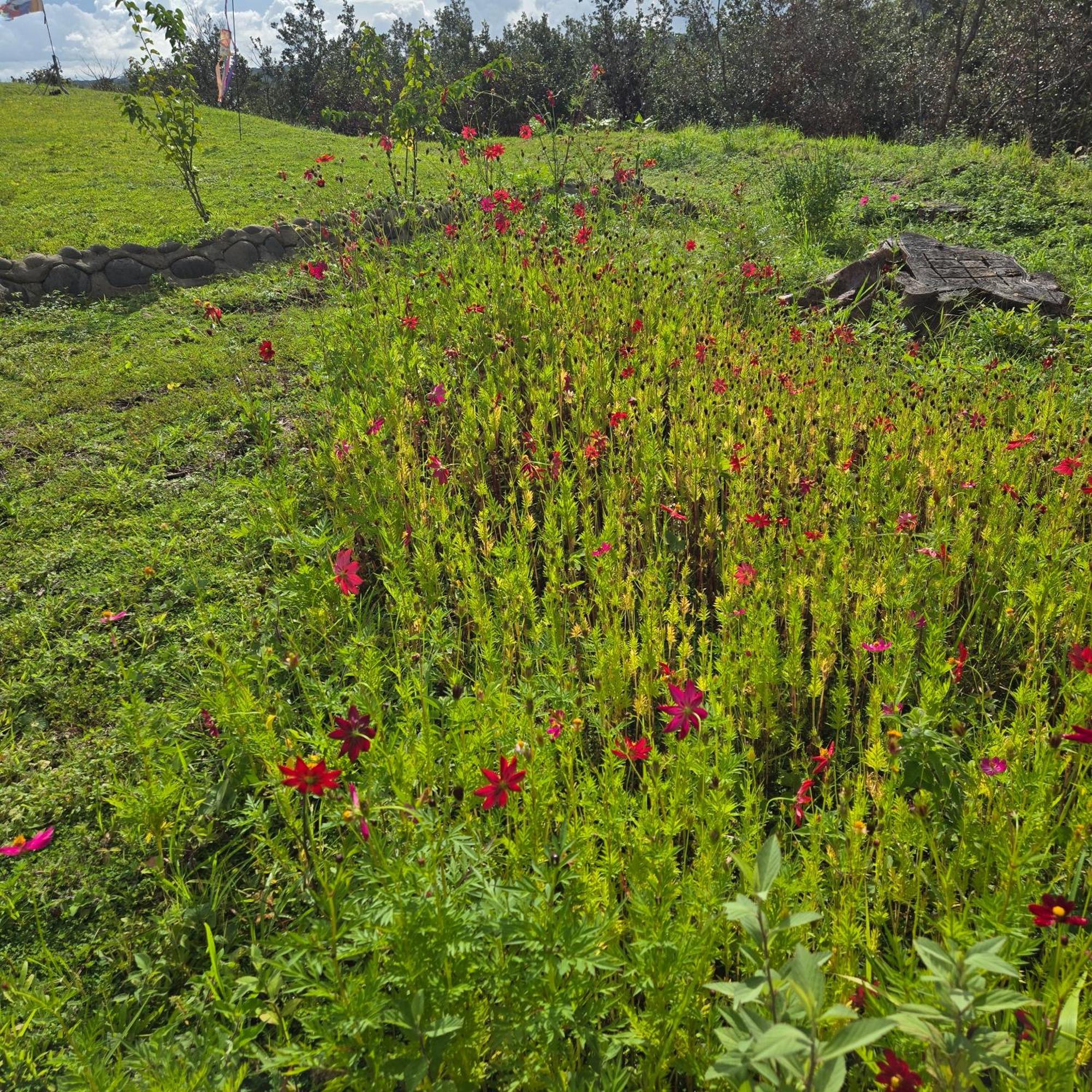 Hacienda En Los Volcanes Guayabo  Esterno foto