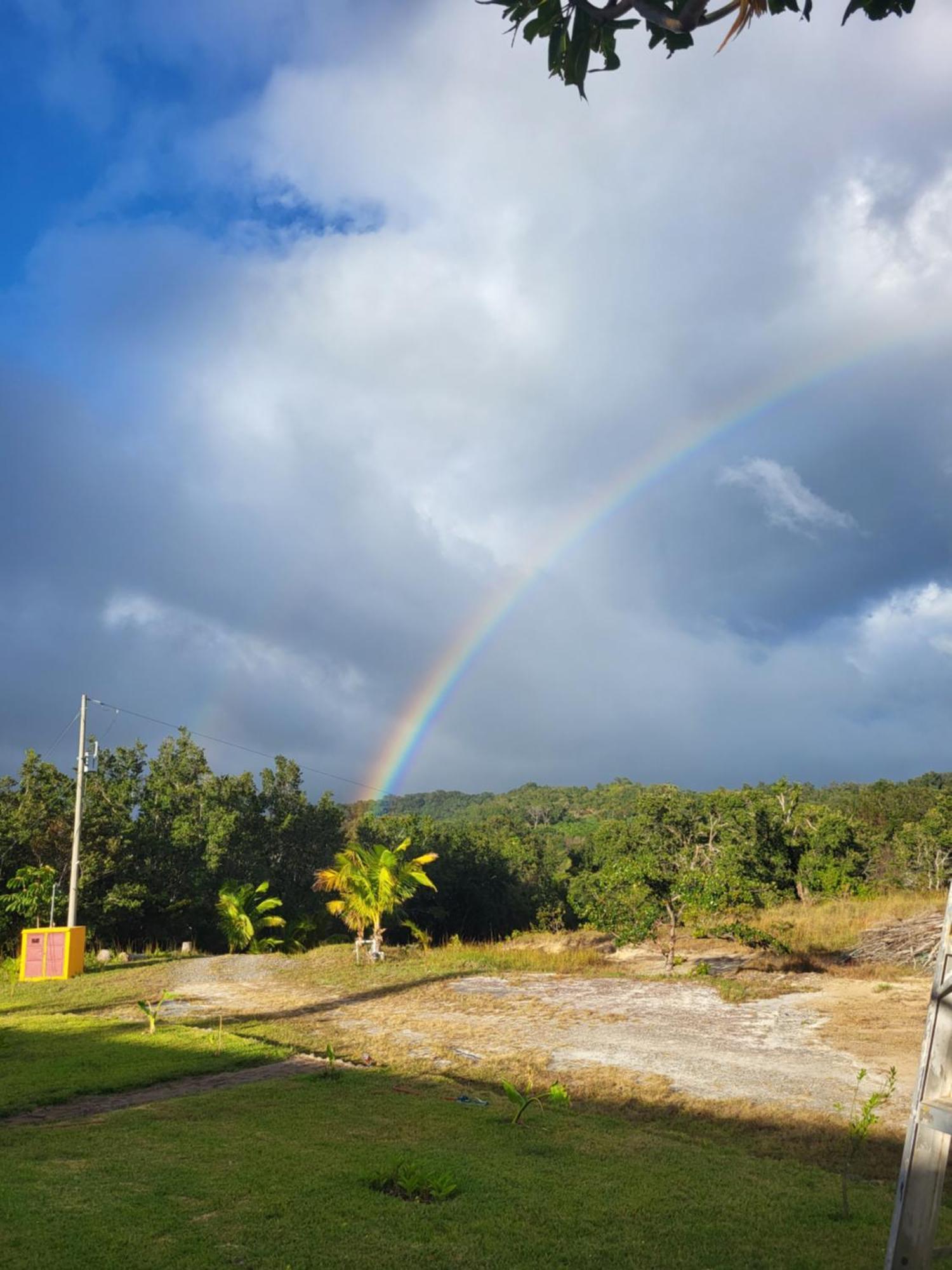 Hacienda En Los Volcanes Guayabo  Esterno foto
