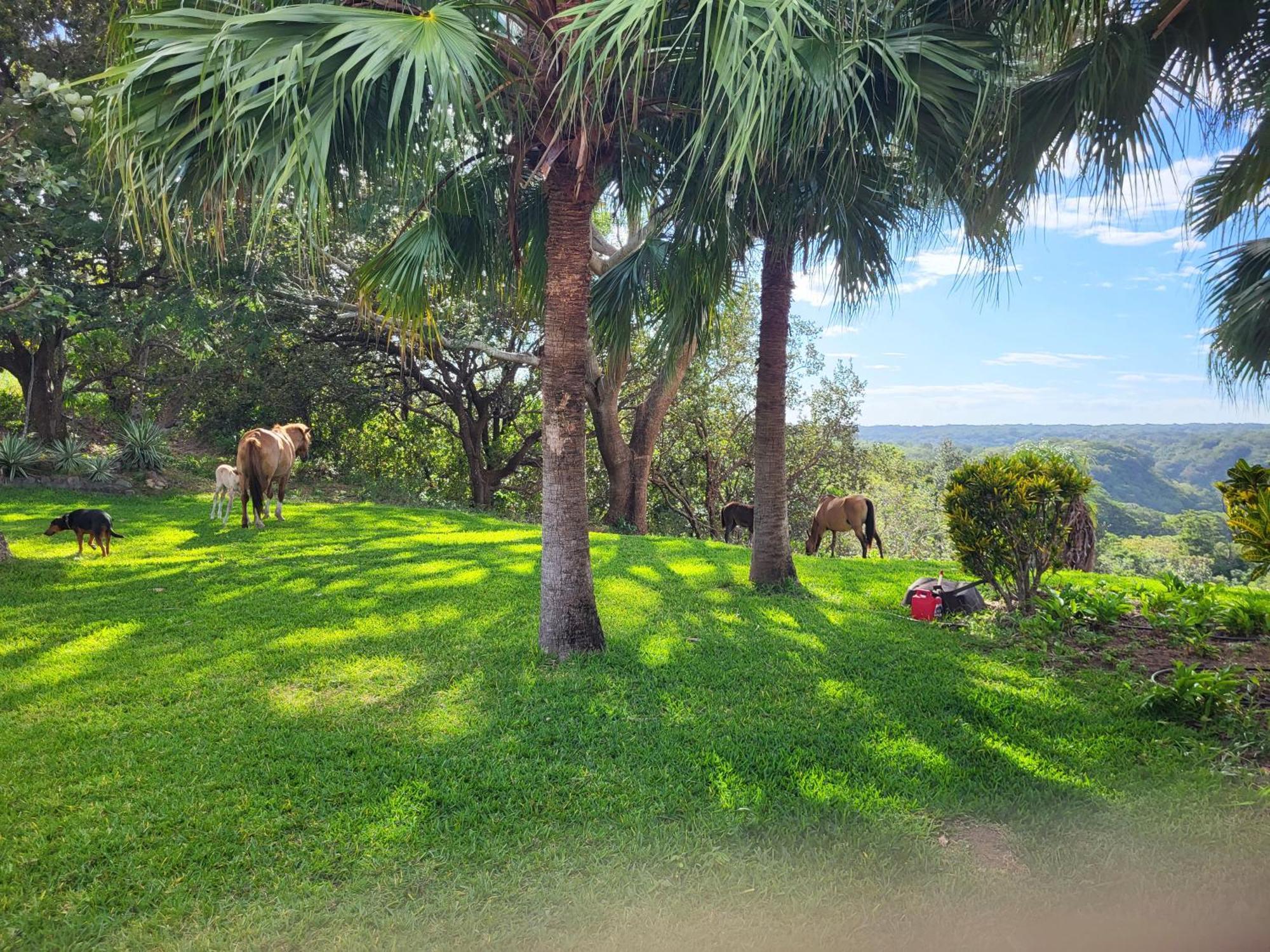 Hacienda En Los Volcanes Guayabo  Esterno foto